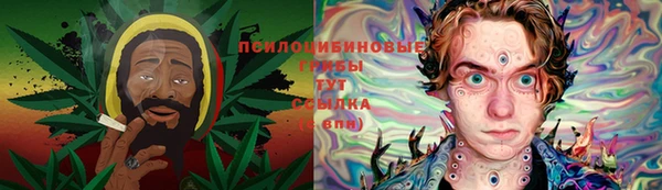 спайс Алзамай