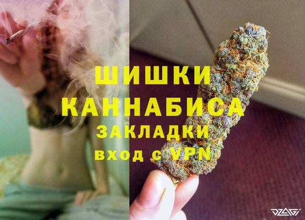 спайс Алзамай