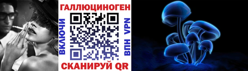 Псилоцибиновые грибы Cubensis  Олонец 