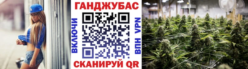 Шишки марихуана план  МЕГА ТОР  Олонец 